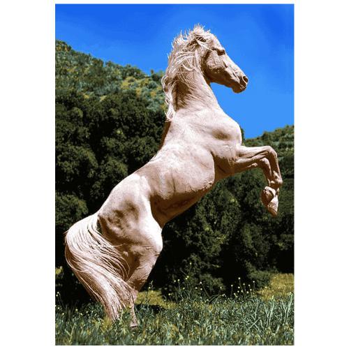 طرح حیوانات مدل اسب کد 26081